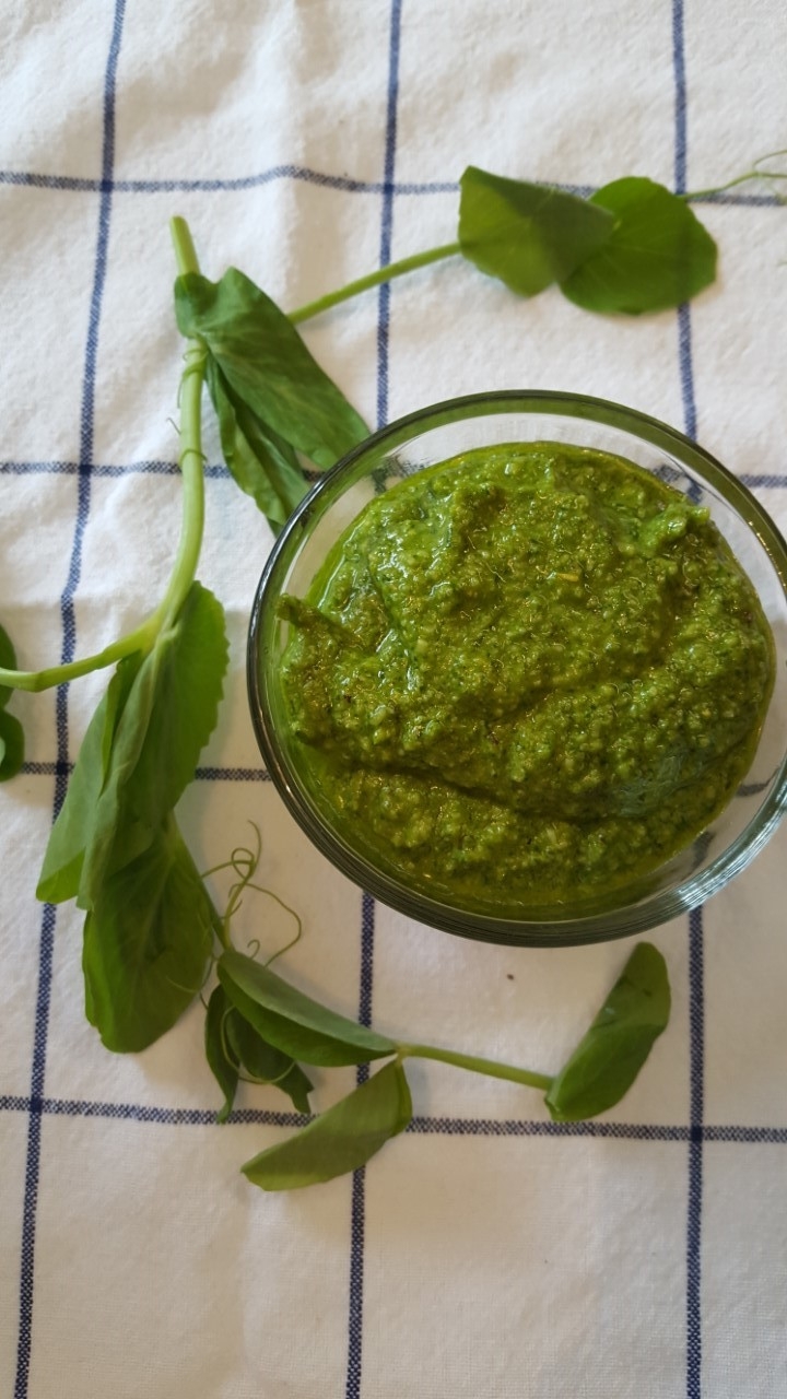 pea shoot pesto