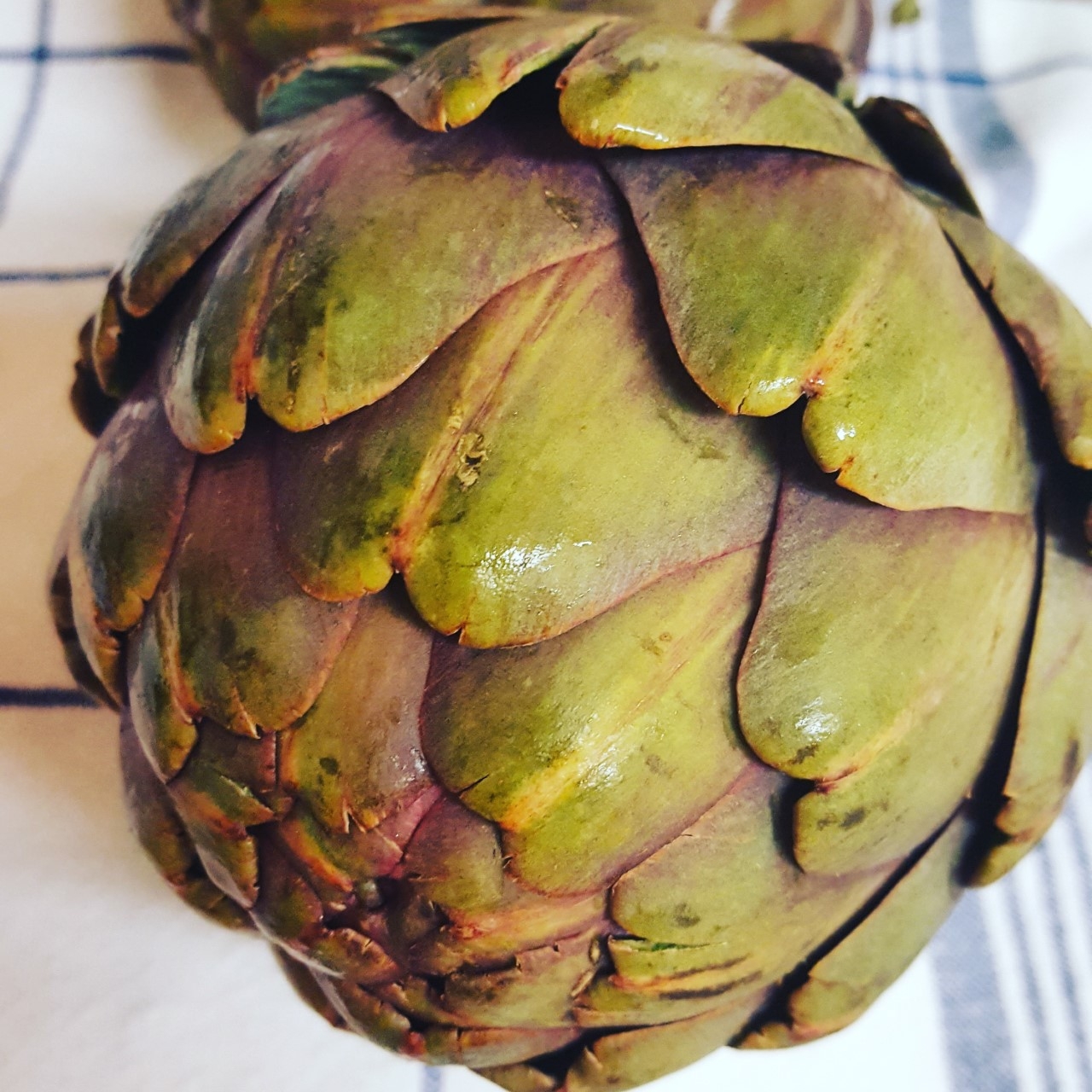 sangria_artichoke