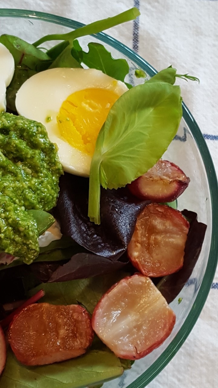 spring pesto salad with radish