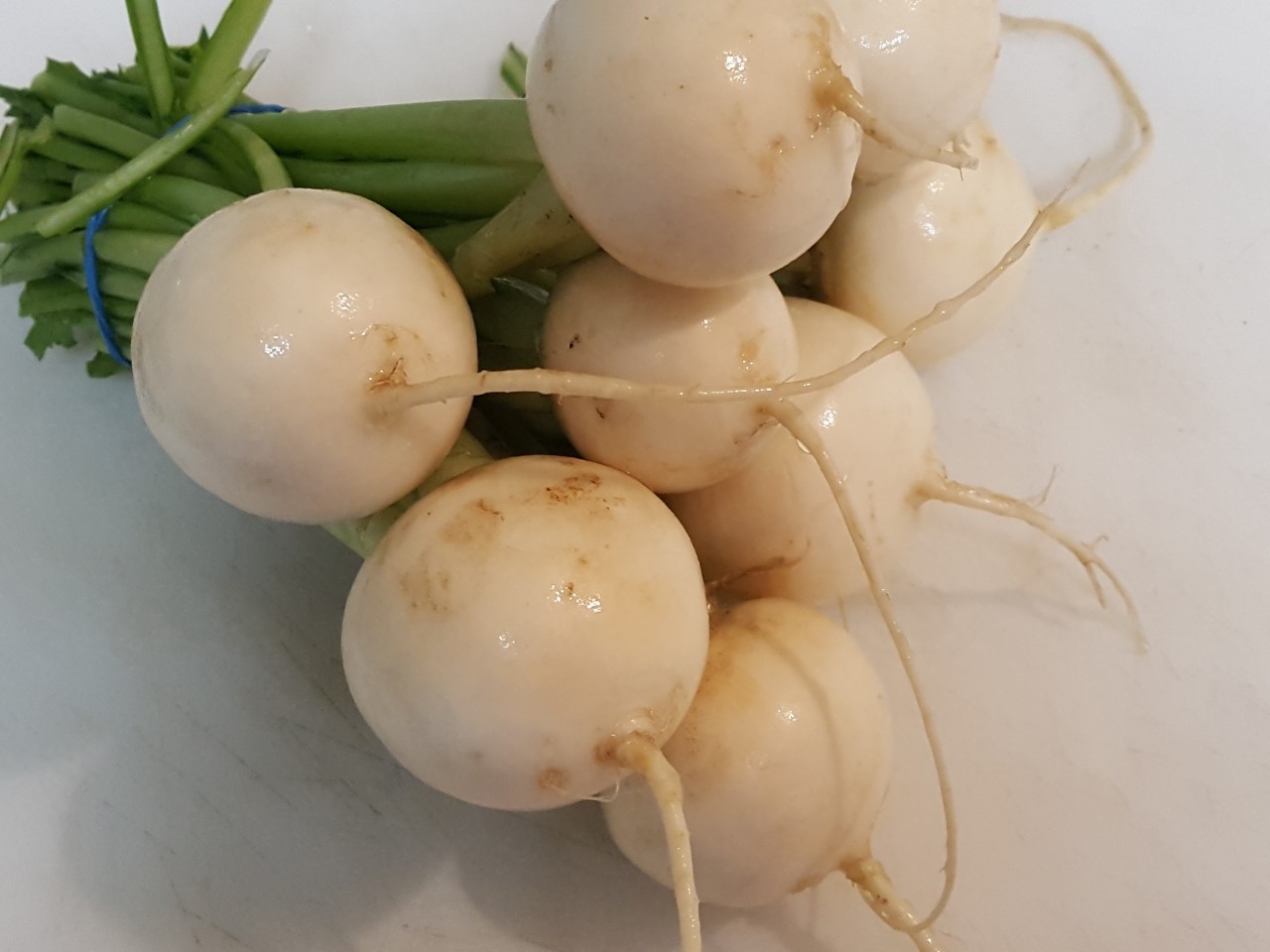 harukai turnips