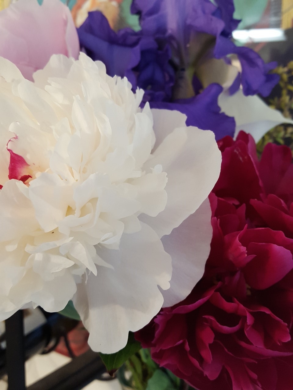 peony and iris farmers market