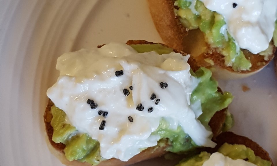 avocado burrata toasts