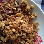 Mulberry, Pecan, and Dark Chocolate Granola