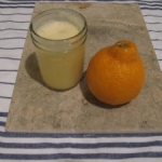 Lazy Day Citrus Smoothie