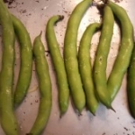 Roasted Fava Beans