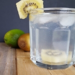 Kiwi Berry Gin and Tonic