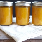 Freezer Friendly Tropical Turmeric Smoothies