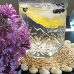 Lilac Infused Spanish Gin and Tonic