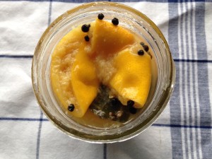 Salt Preserved Meyer Lemons