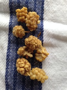 driedmulberries