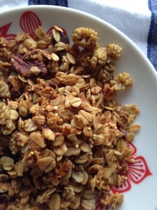 mulberrygranola1