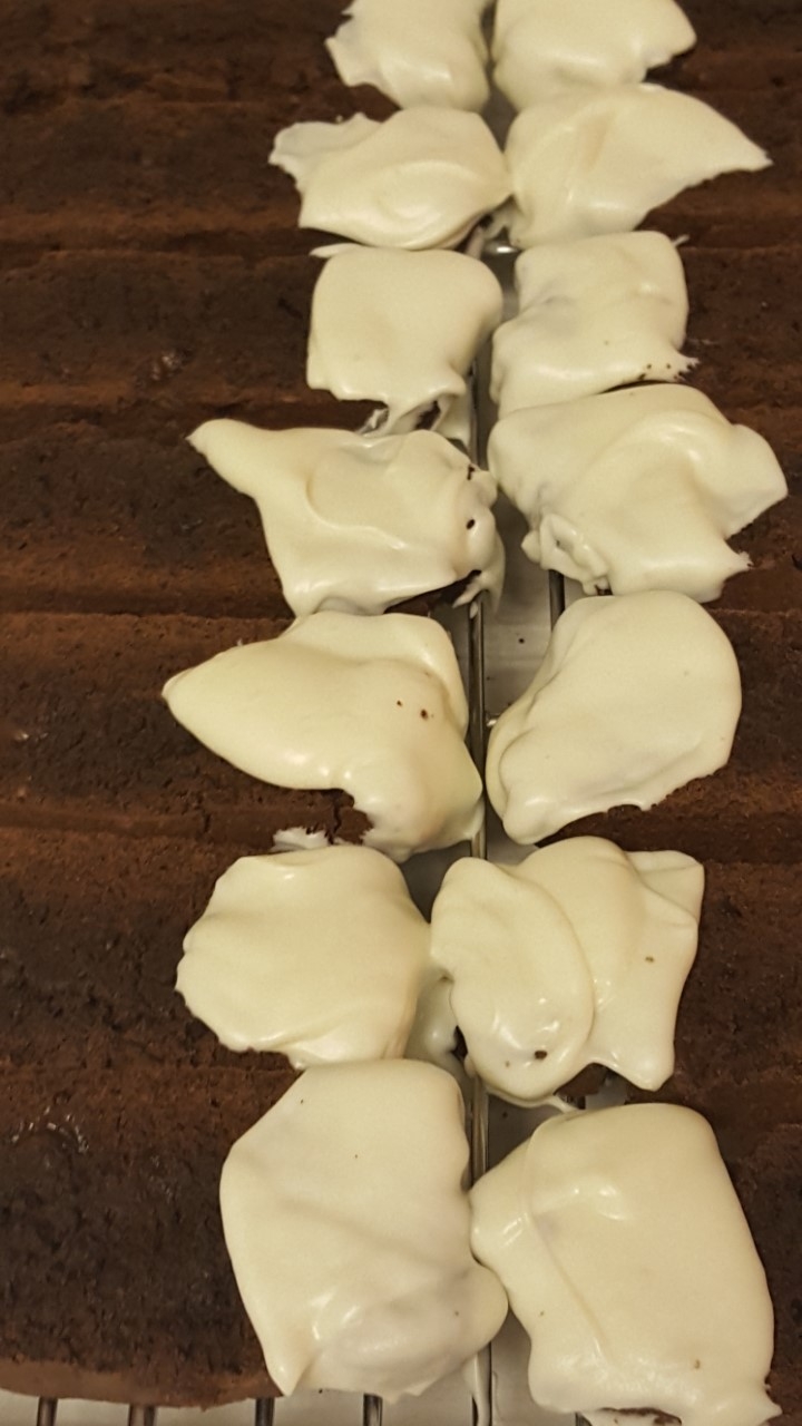 Triple Chocolate Peppermint Biscotti